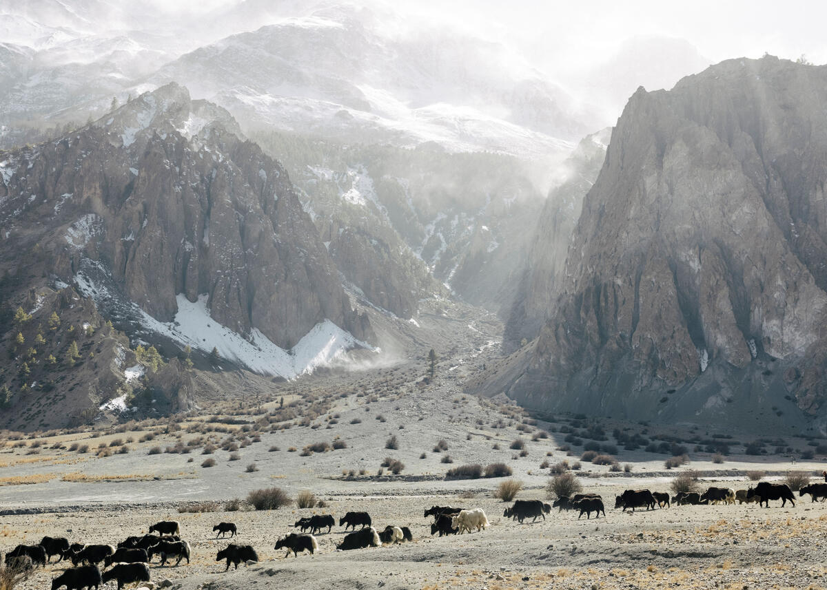 View over the Annapurna Mountains. Manang. March 4, 2025.