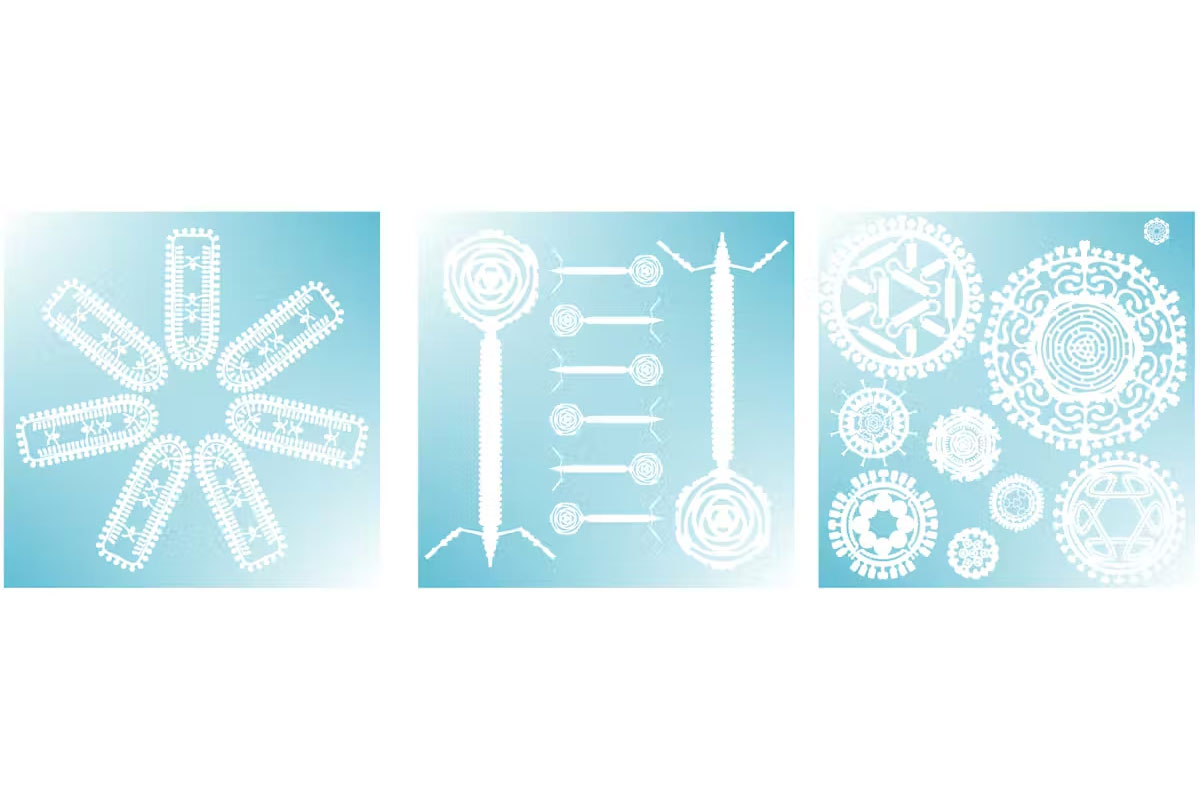 The Seventh, Eighth and Ninth Viruses of Christmas.  Ed Hutchinson, MRC-University of Glasgow Centre for Virus Research