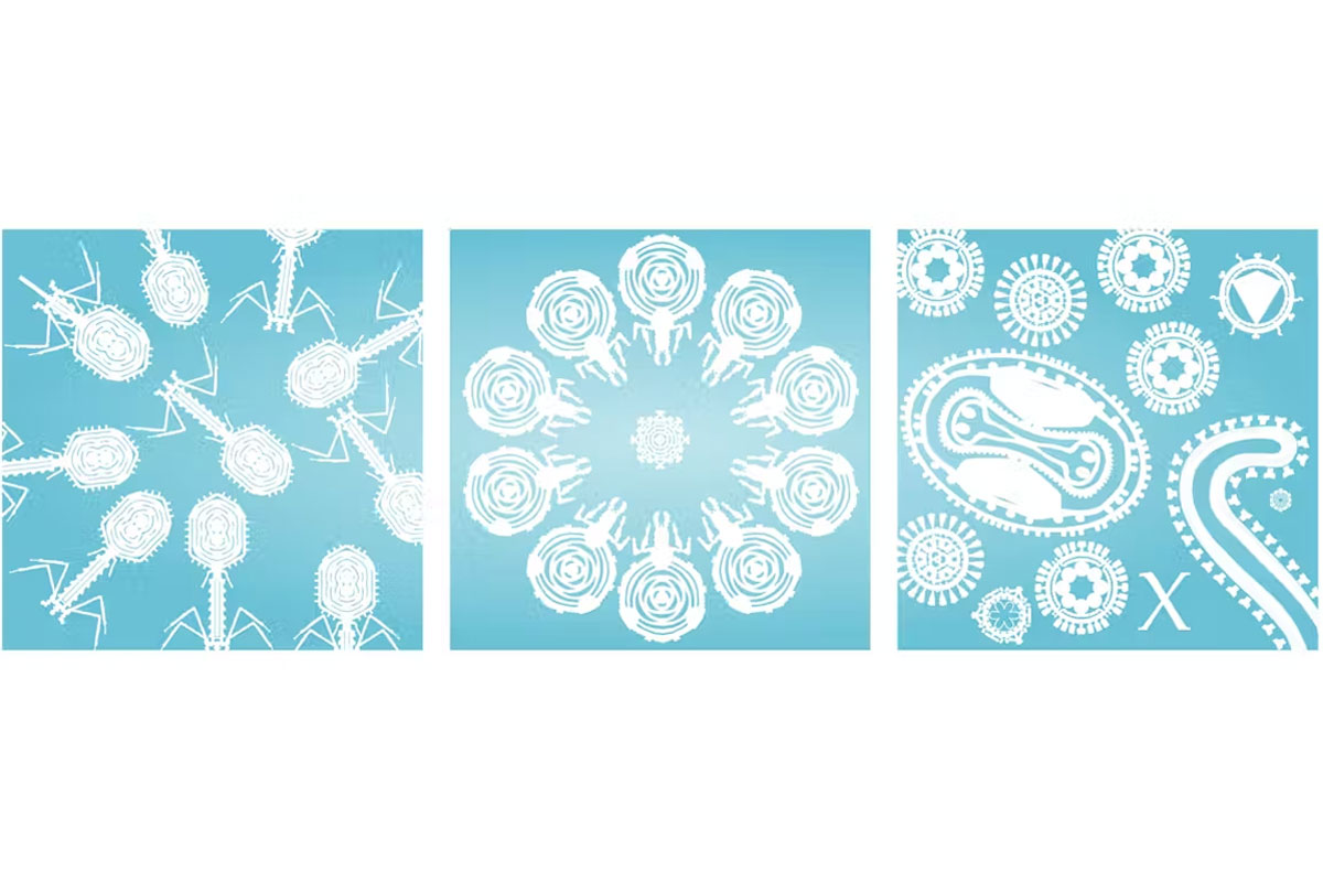 The Tenth, Eleventh and Twelfth Viruses of Christmas.  Ed Hutchinson, MRC-University of Glasgow Centre for Virus Research