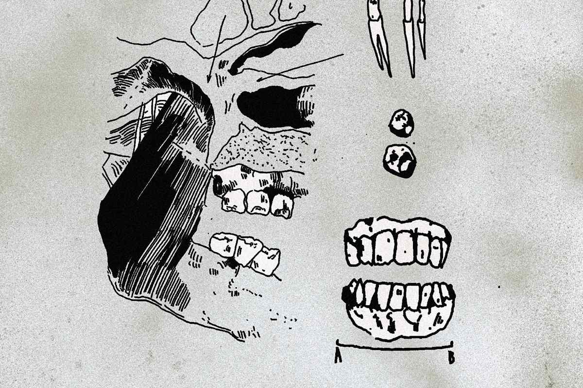 Conceptual representation – not an actual image of discovered remains / Credit: Gavi/Diana Kindiyk
