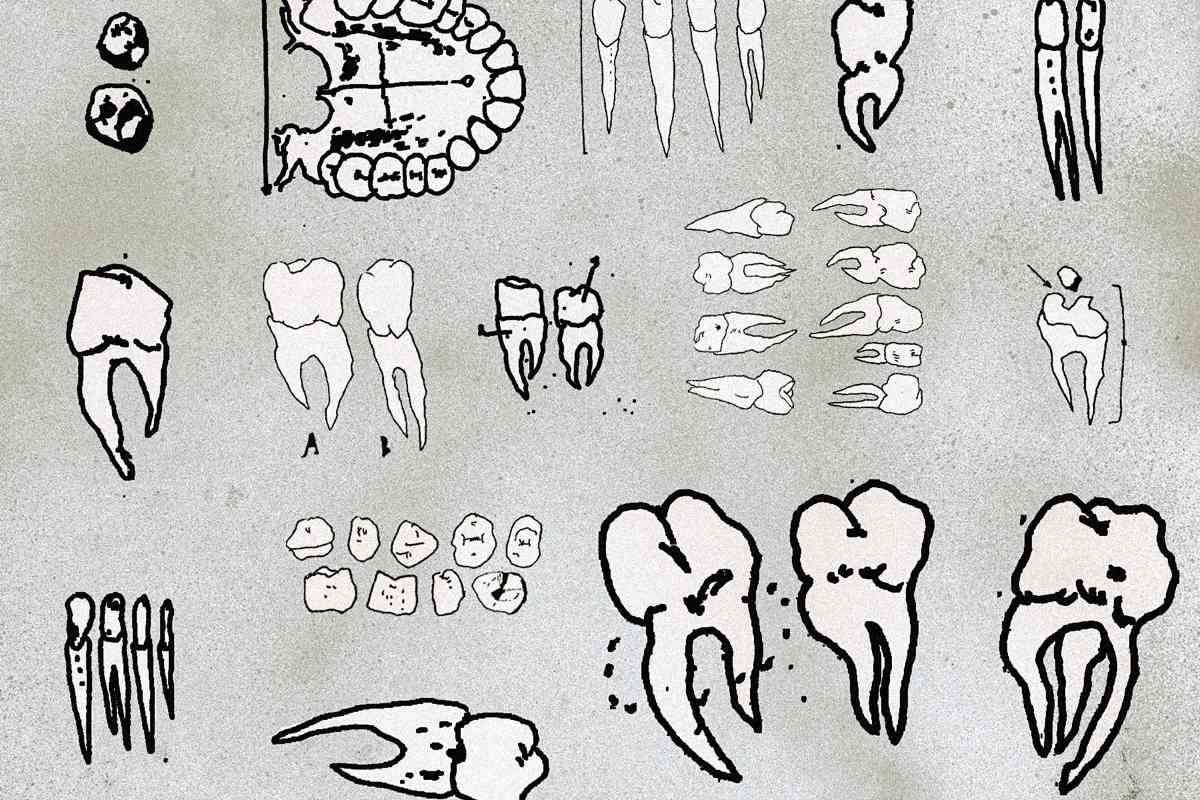 Conceptual representation – not an actual image of discovered remains. Credit: GaviDiana Kindiyk