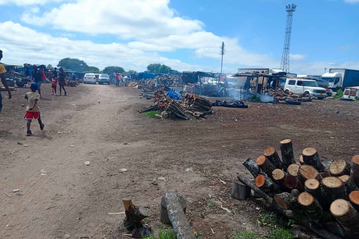 The firewood market near Guzha is always a hive of activity with buyers and traders. Credit: Derick Masengarwodzi