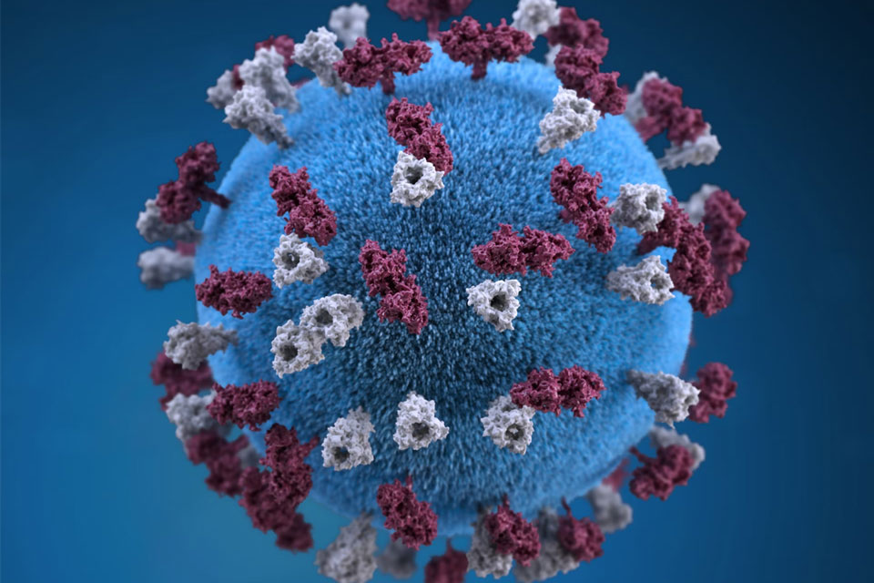 A graphic representation of a measles particle. Credit: The Centers for Disease Control and Prevention (CDC)