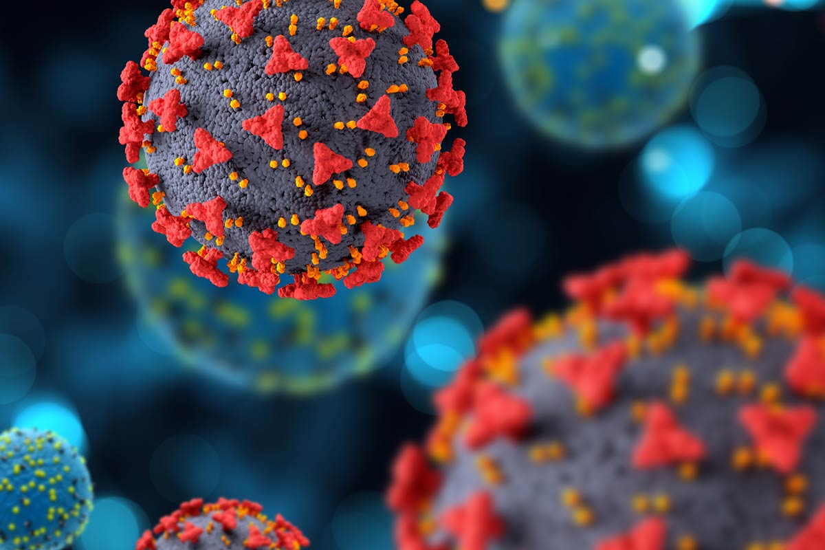 3D medical background with COVID19 virus cells. Credit:  KJPargeter/Freepix