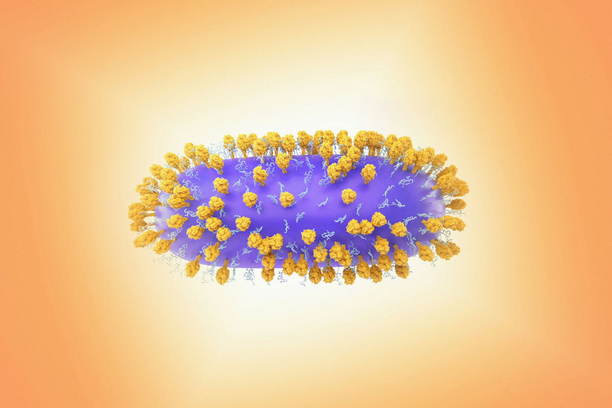 3D rendering of respiratory syncytial virus (RSV). Credit: National Institute of Allergy and Infectious Diseases/Unsplash