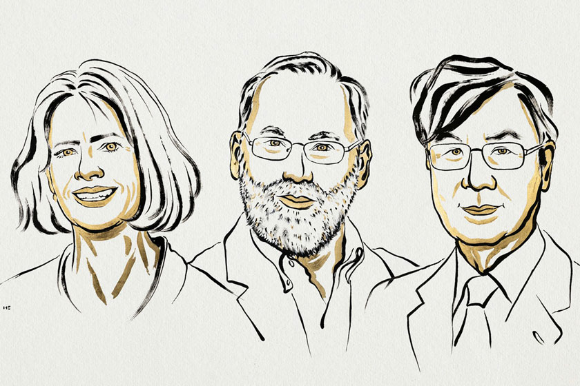 Nobel Prize laureates 2025. Credit: Ill. Niklas Elmehed © Nobel Prize Outreach