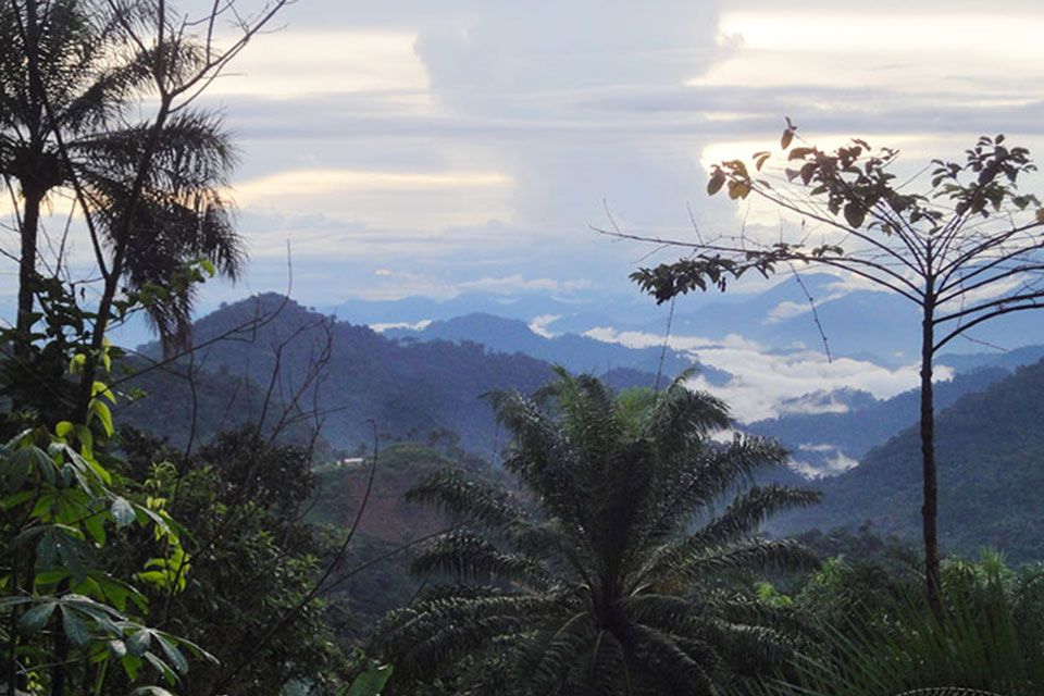 Panoramic view to the lower belt of Wabane, Southwest Region of Cameroon. Credit: Commons Wikimedia