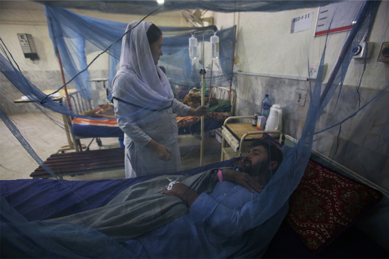 A nurse carefully adjusts an intravenous drip for a dengue patient at a hospital in Peshawar. Rising temperatures, erratic rainfall and prolonged monsoon seasons have created ideal breeding grounds for dengue-carrying mosquitoes..