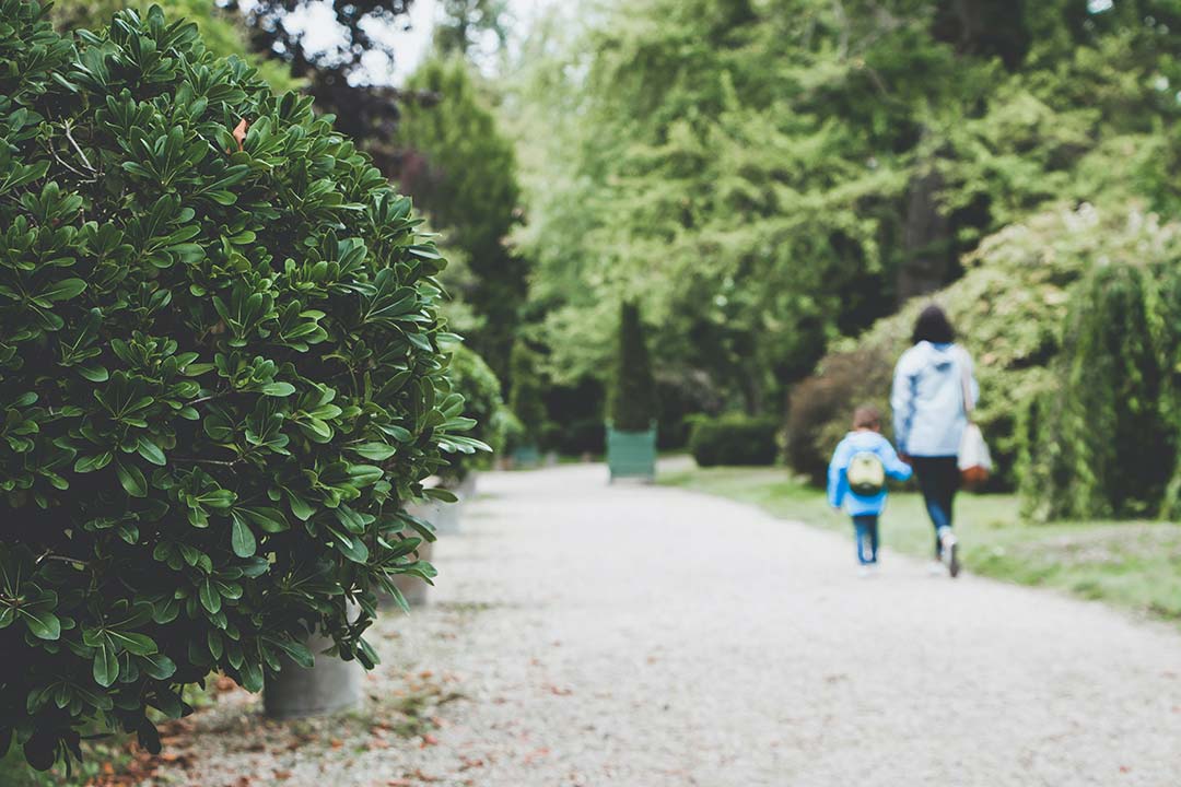 Photo by Laurent Peignault on Unsplash