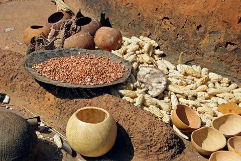 Maize, calabashes and corn drying in the sun in Benin for the production of beer. Credit: Getty Images