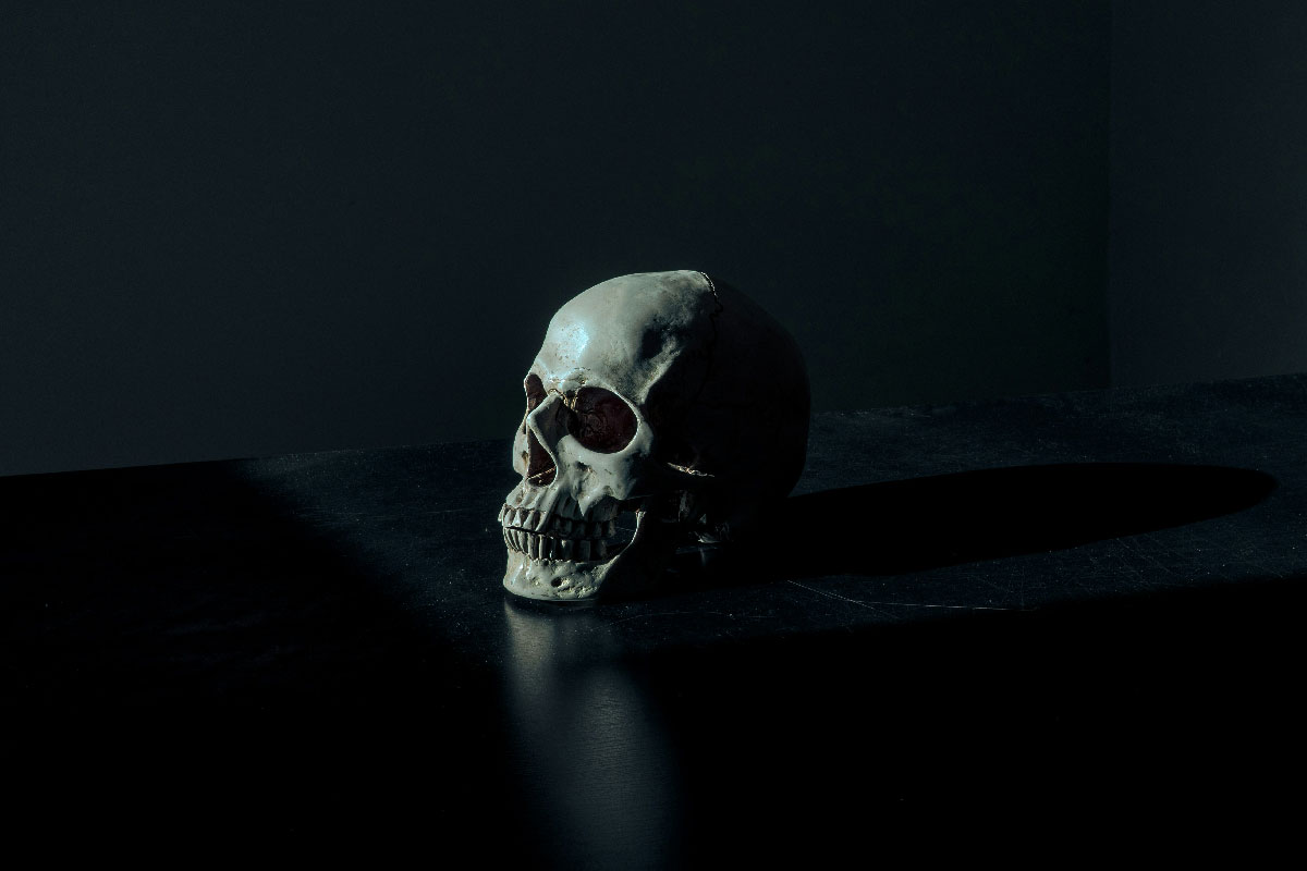 Human skull. Credit: Unsplash/Mathew MacQuarrie