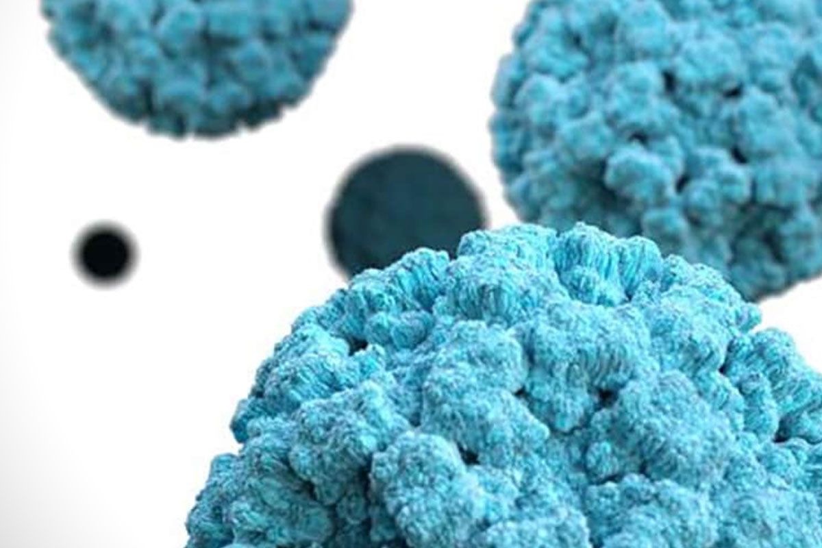 Render of Norovirus. Credit: CDC