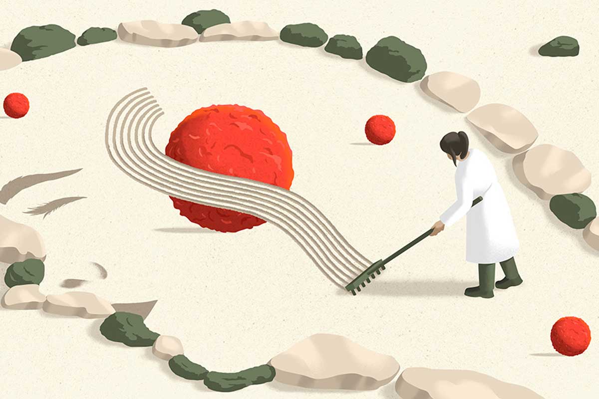 Research in both humans and animals suggests that stress can negatively influence cancer progression. CREDIT: ANA YAEL