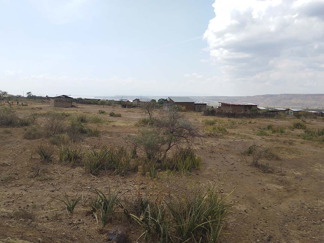 A typical village in Abela Abaya district. Credit: James Karuga