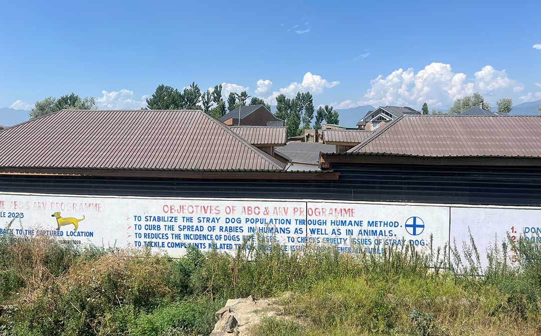 An ABC facility in Srinagar Kashmir where the ABC programme is stalled since September 2025. Credit: by Athar Parvaiz
