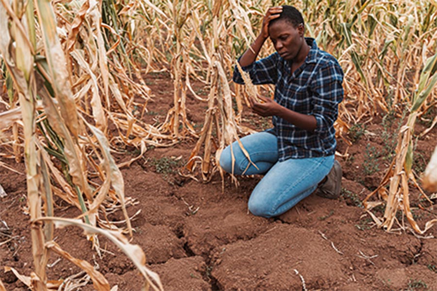 Rising temperatures pose hazards to people and crops. Photo courtesy of WMO.