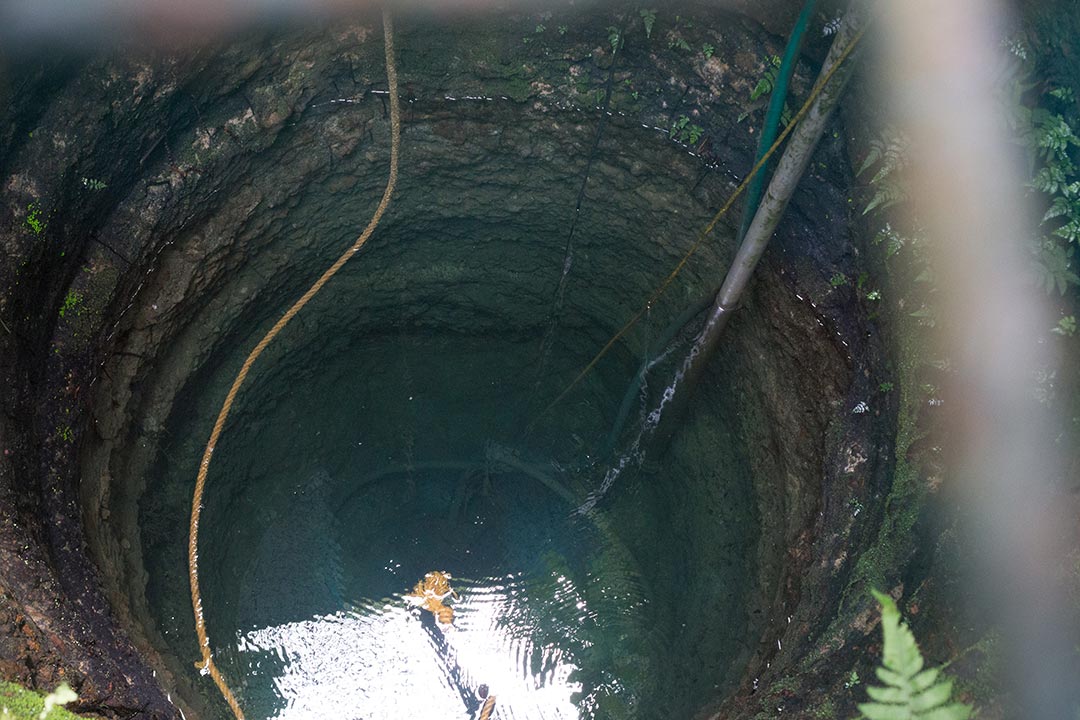 The shared well from which Nila was suspected to have been infected. The well was super-chlorinated multiple times by the health officials before being declared fit for use. Credit: Jeff Joseph Paul