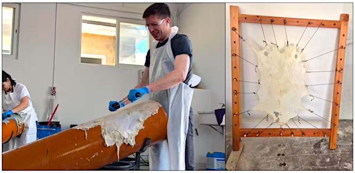 Modern-day production of parchment from animal skin. Kevin Daly, Author provided (no reuse)