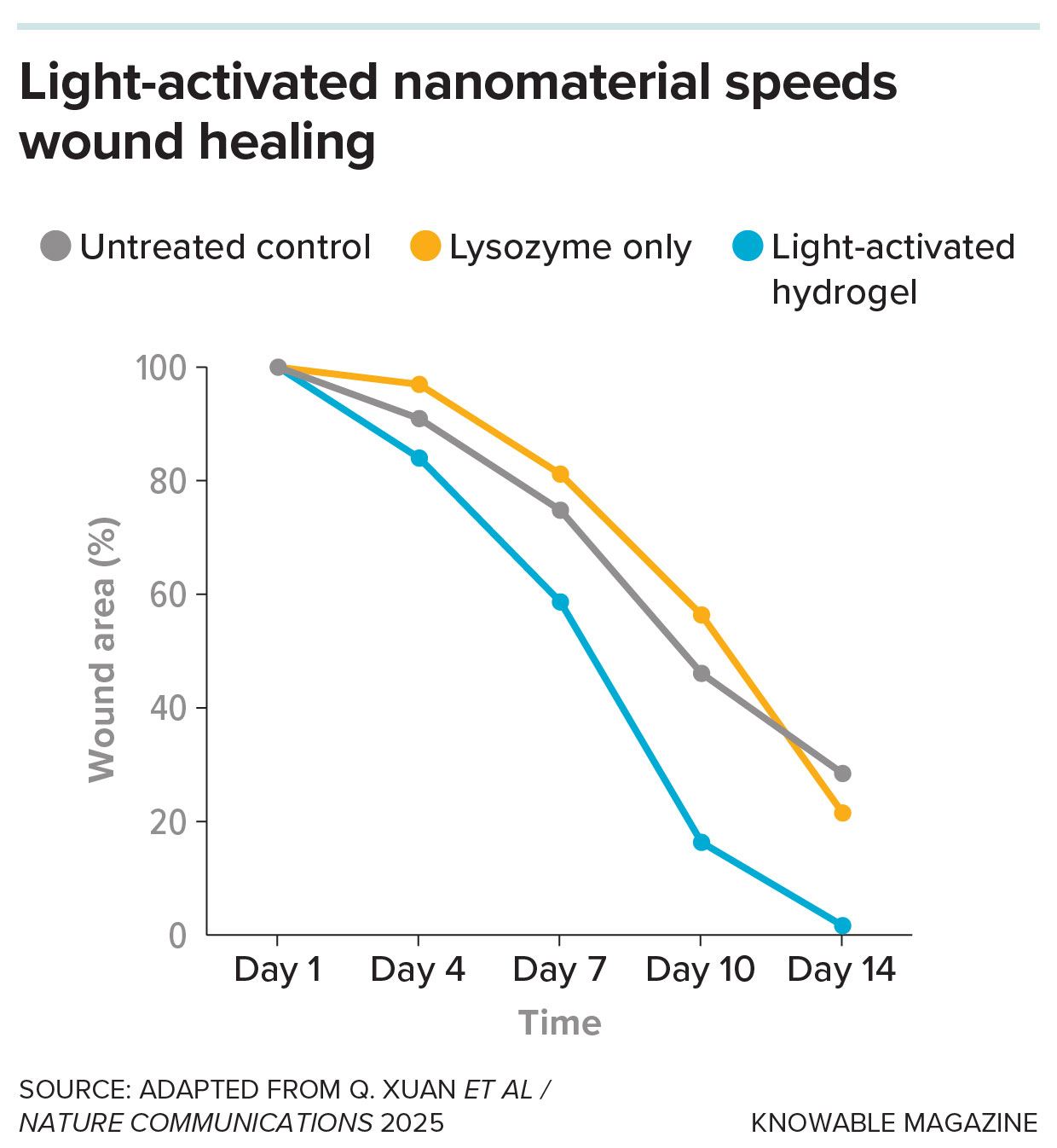 Light-activated nanomaterials that release noxious compounds only when and where they are needed can help eradicate wound infections while preventing damage to unaffected tissues. Here, mice with antibiotic-resistant wound infections were treated with a hydrogel that releases lysozyme, an antibacterial protein, only when activated by light. Their wounds healed more quickly than those of mice left untreated or treated with lysozyme alone.