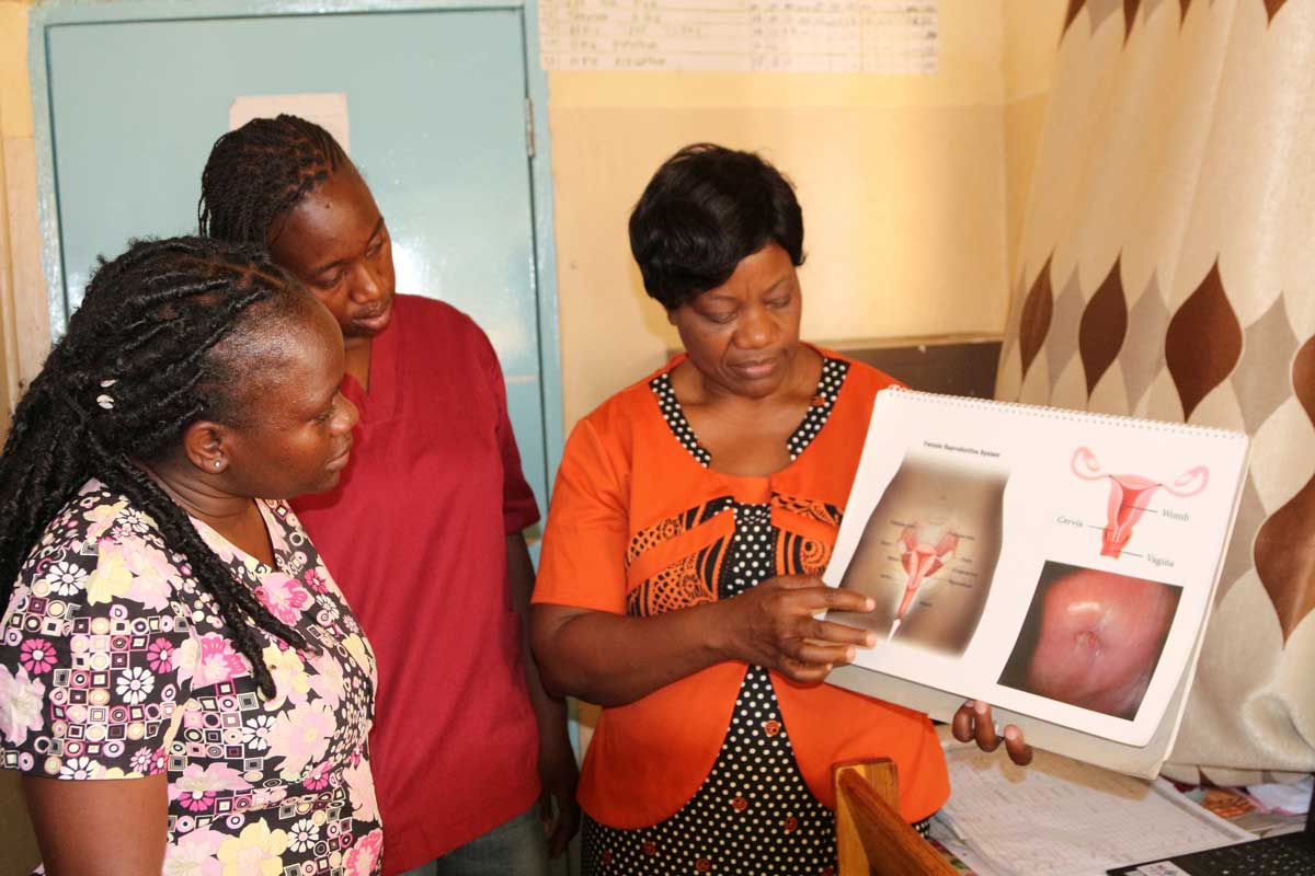 Healthcare staff look on during cervical cancer training session. Credit: CIDRZ Zambia