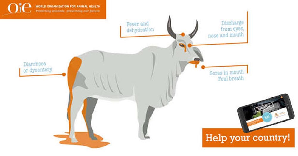 Credit: World Organisation for Animal Health﻿