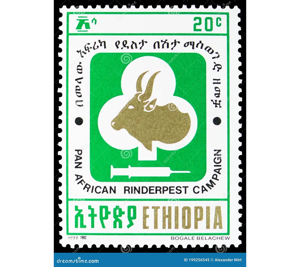 Postage stamp printed in Ethiopia shows Pan-African Rinderpest campaign, serie, circa 1992.