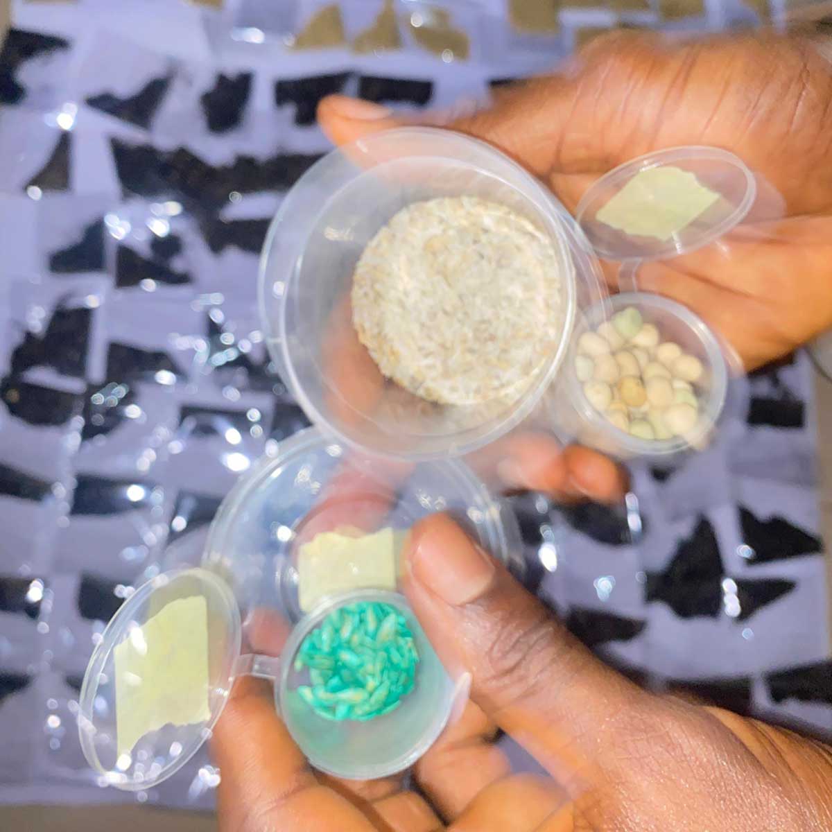 Seedling pack in containers distributed to mothers for backyard gardening. Credit: healthymama healthypikin