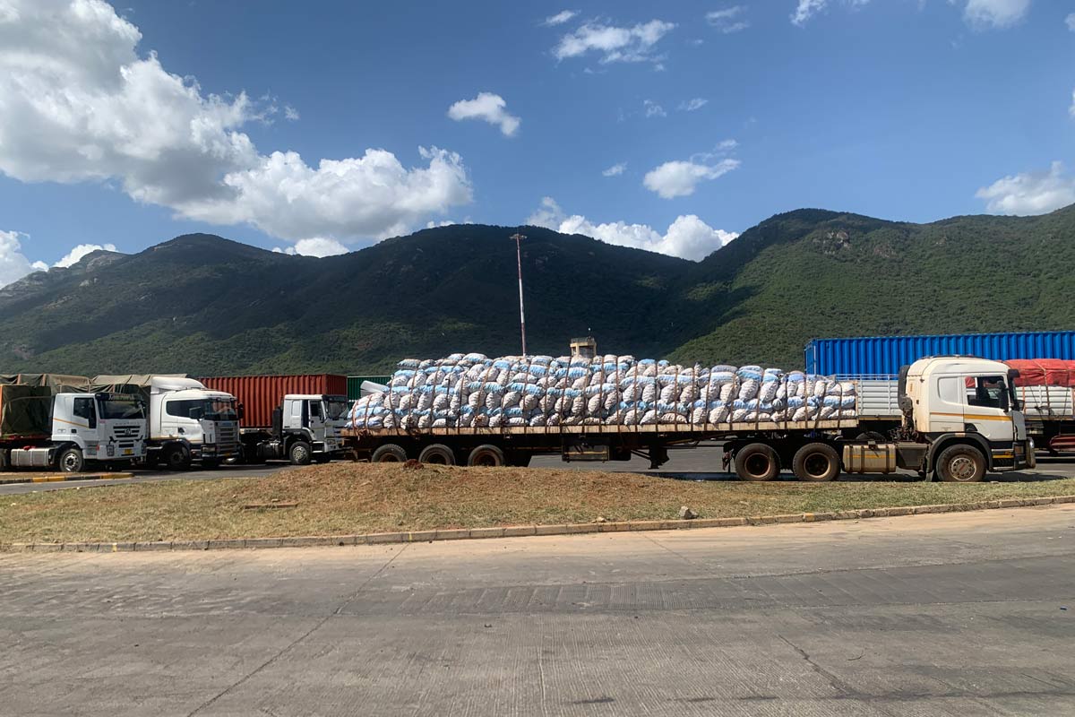 Trucks lined up at the border awaiting clearance. Credit: Pauline Tom