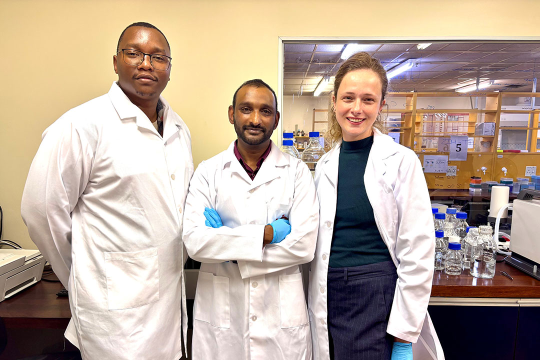 Left to right: Dr Ofentse Matlhabe, Dr Kubendran Naidoo, Dr Rebecca van Dorsten. Picture supplied.