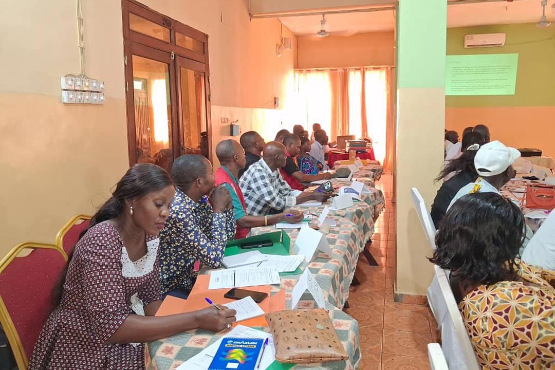 Representatives from local organizations brainstormed strategies to increase malaria vaccine uptake during a co-creation workshop in Kwilu Province, DRC. Photo: PATH/Moise Mampalala.