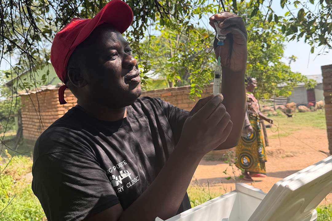 Ahmed Lugelo prepares a rabies vaccine in the rural Tanzanian village of Nyamoko. Courtesy Rabies Free Africa
