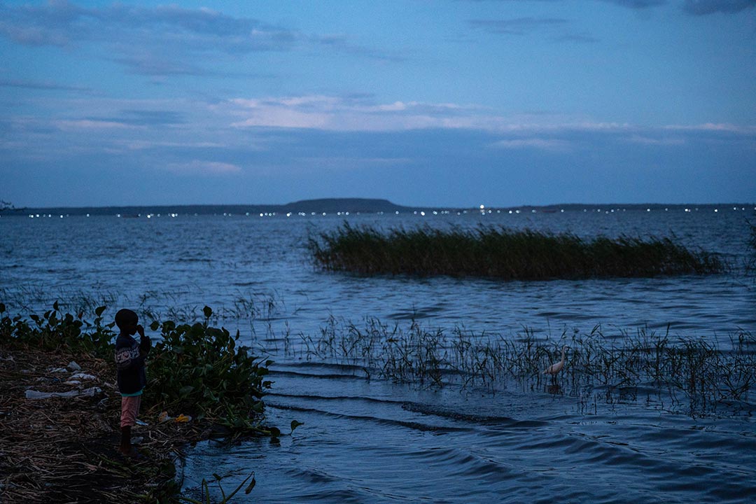 Warm temperatures and abundant water make communities on the shores of Lake Victoria particularly vulnerable to mosquito-transmitted diseases. Credit: Gavi