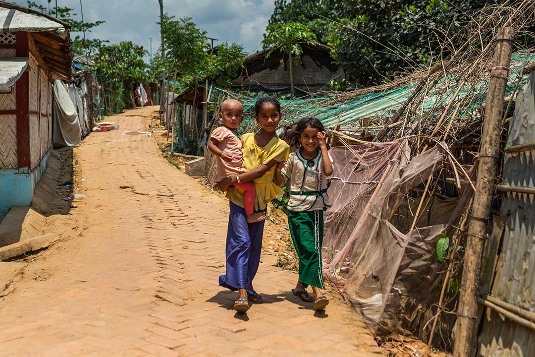 Gavi/2025/Ashraful Arefin