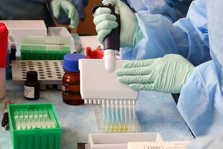 The American University in Cairo and Egyptian biotech firm Minapharm are working towards Africa's first biotech academy. Copyright: Photo by Freerange Public Domain Archives from Freerange Stock