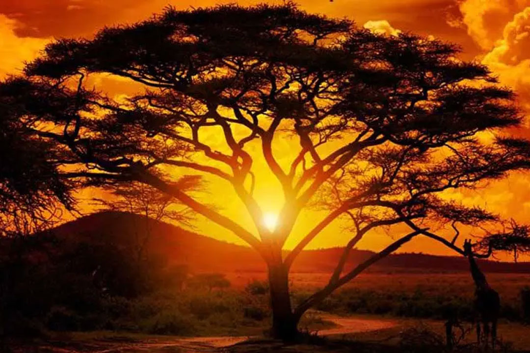 The World Meteorological Organization (WMO) has warned of hotter-than-average temperatures around the globe in July and August. Copyright: Courtesy of WMO