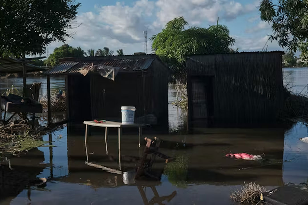 A yard submerged with flood water from the Limpopo river on 5 February 2026 in Xai Xai, Mozambique. Zinyange Auntony/Getty Images