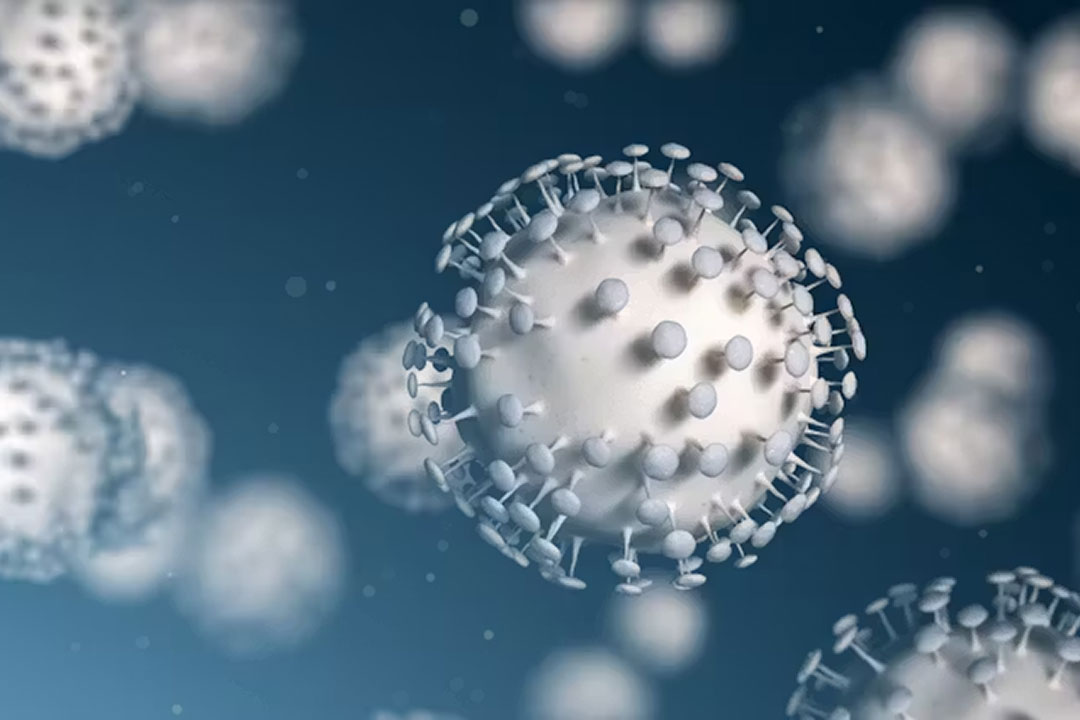 Coronaviruses with their telltale spike proteins. Jezper/Shutterstock.com