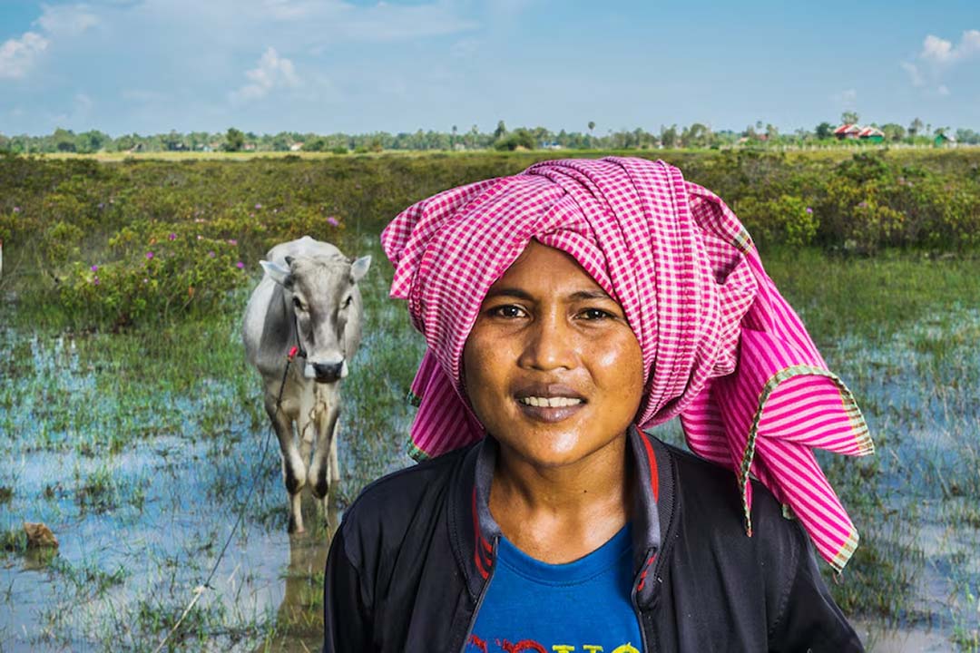 A farmer near Pursat, Cambodia. International organizations are developing solutions to protect people and animals from infectious disease in a highly interconnected world. Image: WHO / Yoshi Shimizu