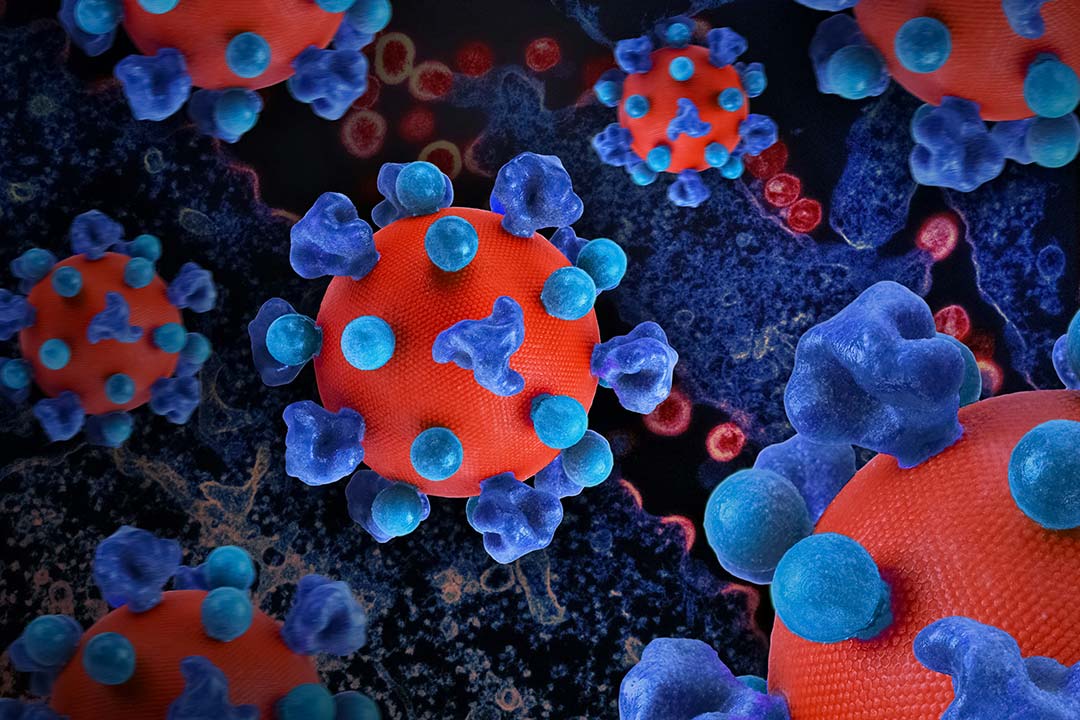 Photo by National Institute of Allergy and Infectious Diseases on Unsplash