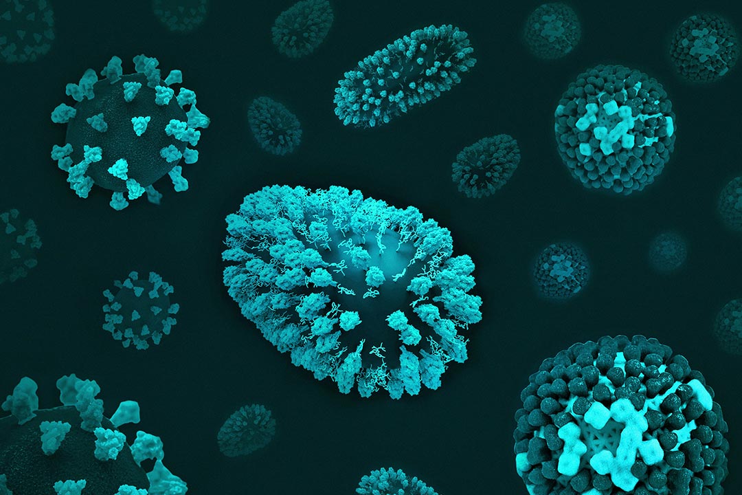 Photo by National Institute of Allergy and Infectious Diseases on Unsplash